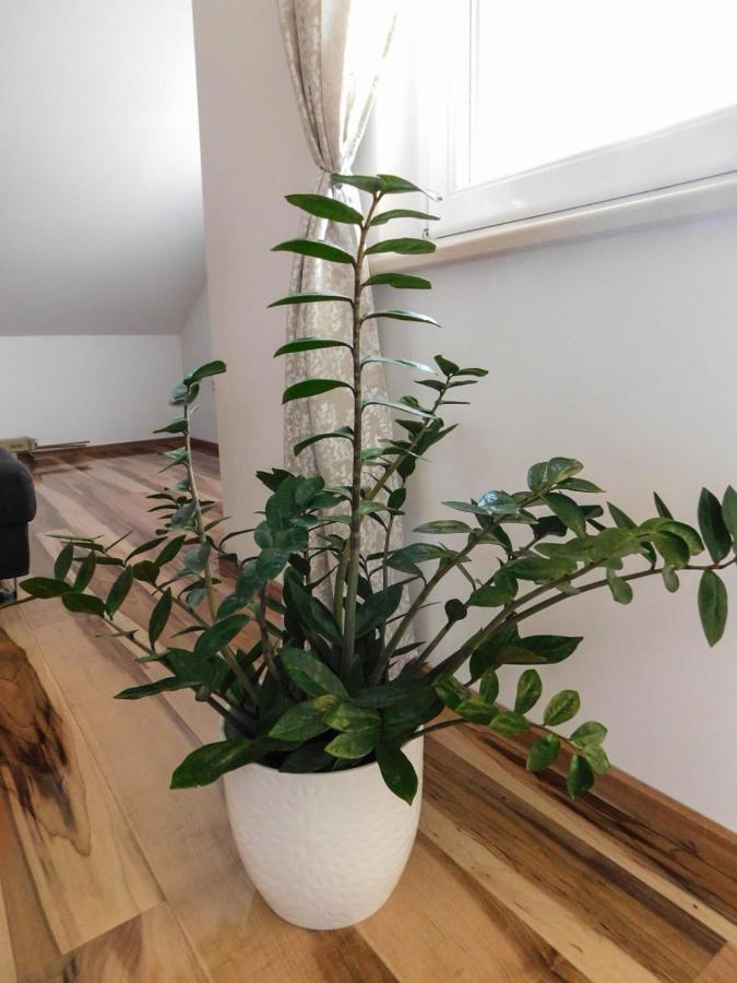 Apartman Lara Otočac Esterno foto